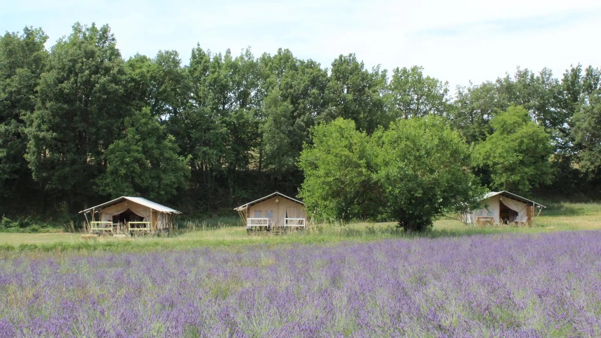 Hotel Les Ânes de Forcalquier 3*,  France