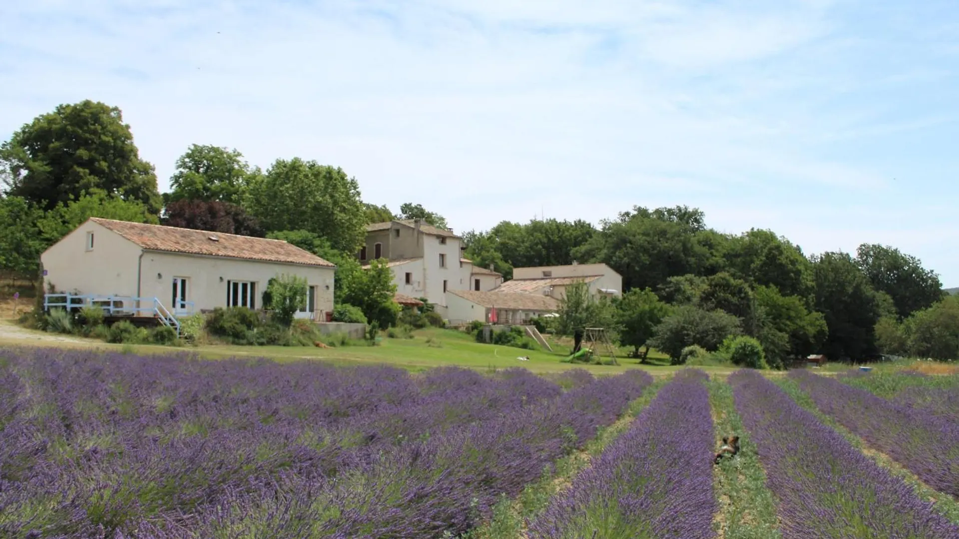 Hotel Les Ânes de Forcalquier