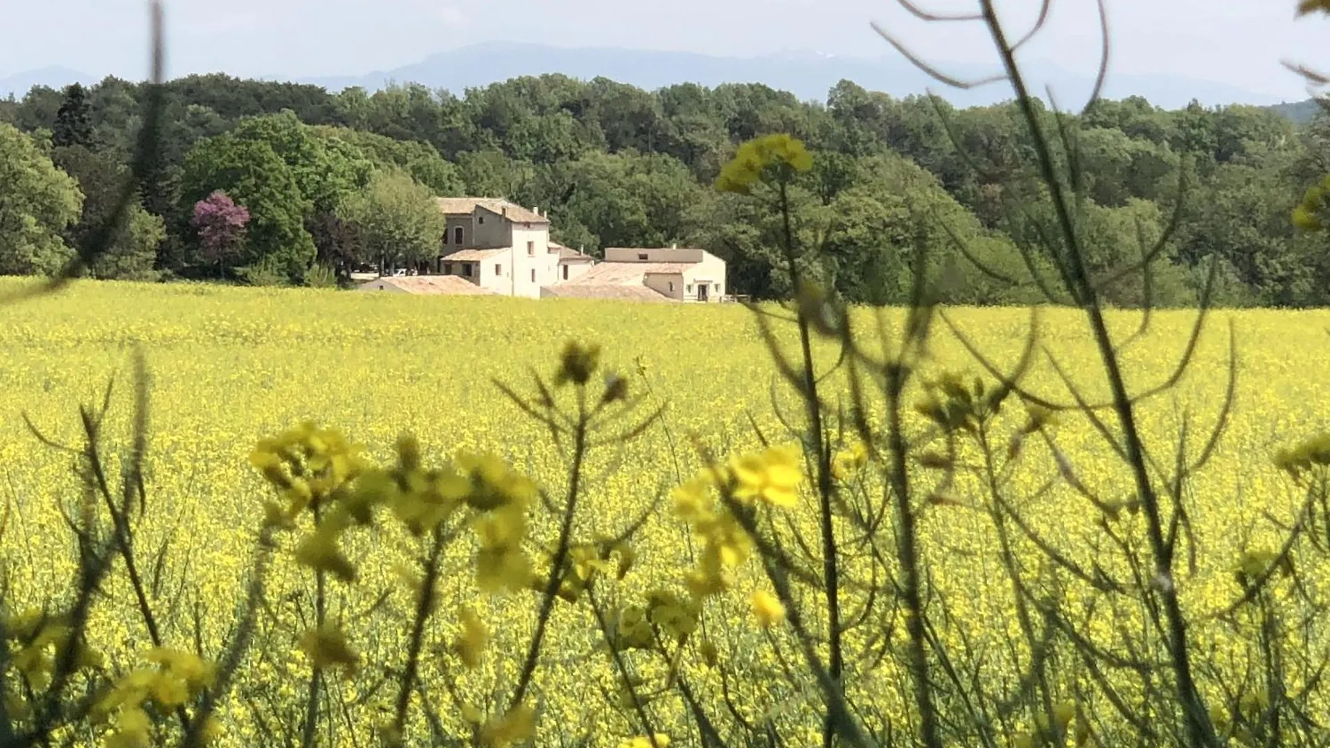 Pensionat Les Anes De Forcalquier Hotell