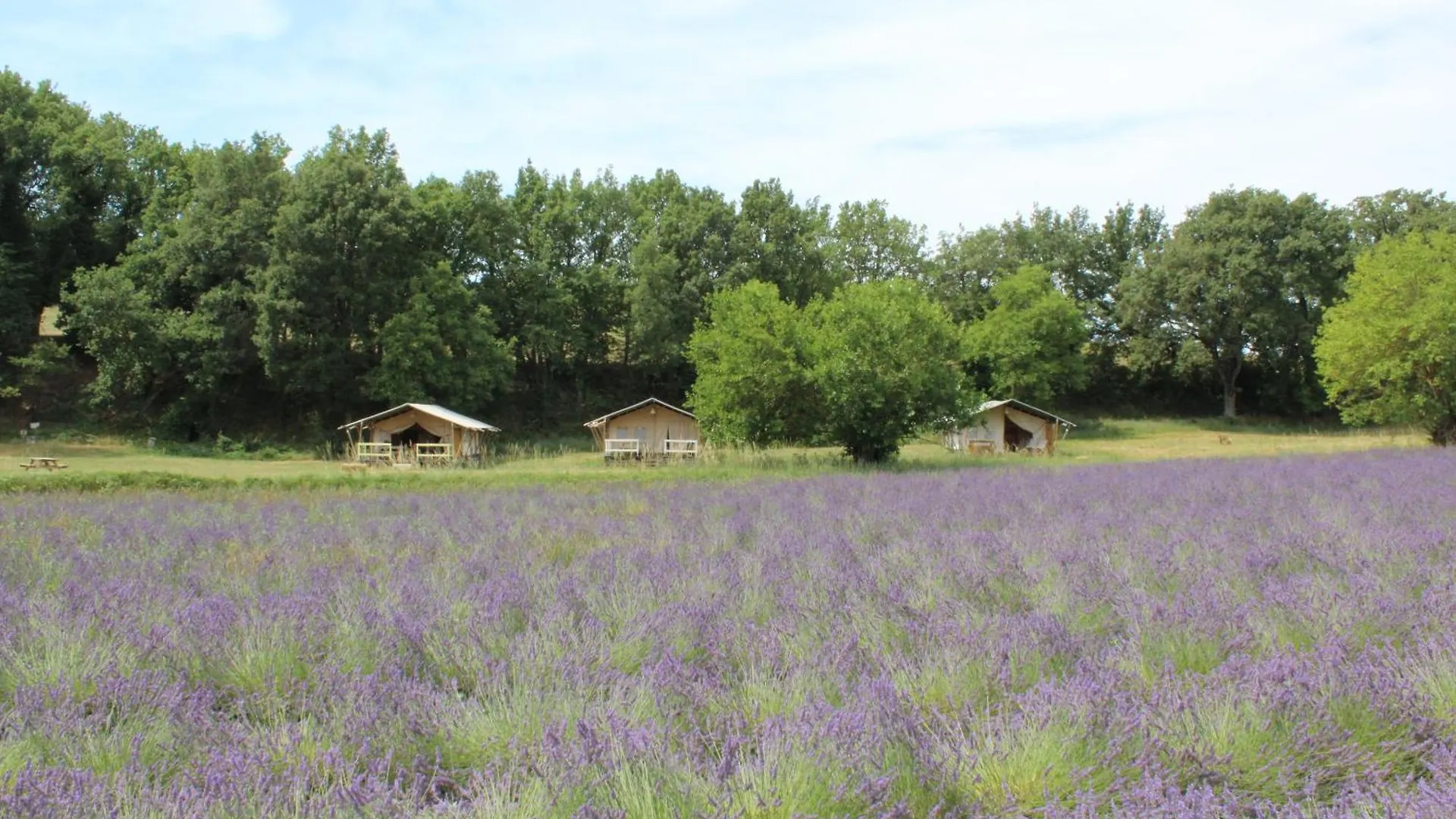 Les Anes De Forcalquier Hotell 3*,